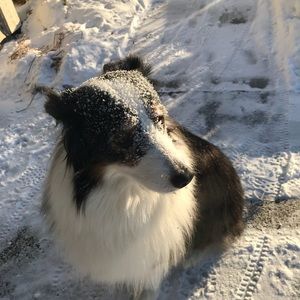 Meet your Posher, Dan